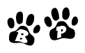 The image shows a row of animal paw prints, each containing a letter. The letters spell out the word Bp within the paw prints.