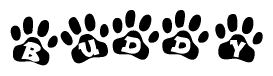 The image shows a row of animal paw prints, each containing a letter. The letters spell out the word Buddy within the paw prints.
