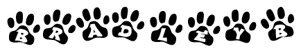 The image shows a series of animal paw prints arranged in a horizontal line. Each paw print contains a letter, and together they spell out the word Bradleyb.