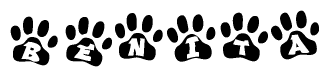 The image shows a series of animal paw prints arranged horizontally. Within each paw print, there's a letter; together they spell Benita