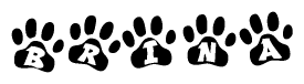 The image shows a series of animal paw prints arranged horizontally. Within each paw print, there's a letter; together they spell Brina