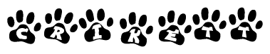 The image shows a row of animal paw prints, each containing a letter. The letters spell out the word Crikett within the paw prints.