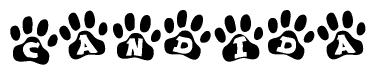 The image shows a series of animal paw prints arranged in a horizontal line. Each paw print contains a letter, and together they spell out the word Candida.
