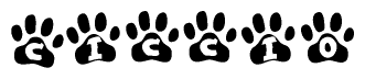 The image shows a series of animal paw prints arranged in a horizontal line. Each paw print contains a letter, and together they spell out the word Ciccio.
