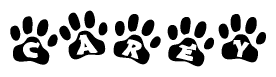 The image shows a row of animal paw prints, each containing a letter. The letters spell out the word Carey within the paw prints.