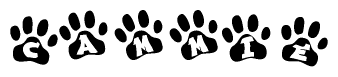 The image shows a row of animal paw prints, each containing a letter. The letters spell out the word Cammie within the paw prints.