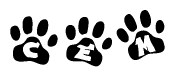 The image shows a series of animal paw prints arranged in a horizontal line. Each paw print contains a letter, and together they spell out the word Cem.