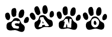 The image shows a row of animal paw prints, each containing a letter. The letters spell out the word Cano within the paw prints.