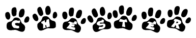 The image shows a row of animal paw prints, each containing a letter. The letters spell out the word Chester within the paw prints.