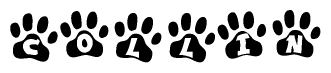 The image shows a series of animal paw prints arranged horizontally. Within each paw print, there's a letter; together they spell Collin