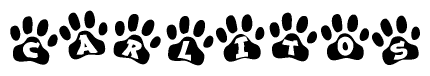 The image shows a row of animal paw prints, each containing a letter. The letters spell out the word Carlitos within the paw prints.