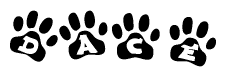 The image shows a row of animal paw prints, each containing a letter. The letters spell out the word Dace within the paw prints.
