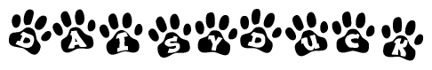 The image shows a row of animal paw prints, each containing a letter. The letters spell out the word Daisyduck within the paw prints.