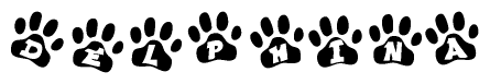 The image shows a series of animal paw prints arranged horizontally. Within each paw print, there's a letter; together they spell Delphina