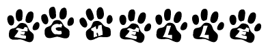 The image shows a series of animal paw prints arranged in a horizontal line. Each paw print contains a letter, and together they spell out the word Echelle.