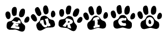 The image shows a series of animal paw prints arranged horizontally. Within each paw print, there's a letter; together they spell Eurico