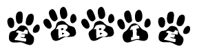 The image shows a series of animal paw prints arranged in a horizontal line. Each paw print contains a letter, and together they spell out the word Ebbie.