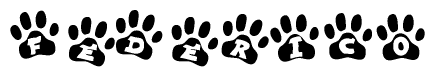 The image shows a series of animal paw prints arranged in a horizontal line. Each paw print contains a letter, and together they spell out the word Federico.