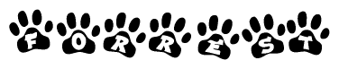 The image shows a series of animal paw prints arranged in a horizontal line. Each paw print contains a letter, and together they spell out the word Forrest.
