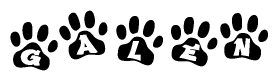 The image shows a series of animal paw prints arranged in a horizontal line. Each paw print contains a letter, and together they spell out the word Galen.