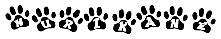 The image shows a row of animal paw prints, each containing a letter. The letters spell out the word Hurikane within the paw prints.
