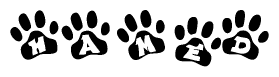 The image shows a series of animal paw prints arranged horizontally. Within each paw print, there's a letter; together they spell Hamed
