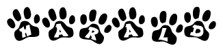 The image shows a series of animal paw prints arranged in a horizontal line. Each paw print contains a letter, and together they spell out the word Harald.