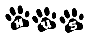 The image shows a row of animal paw prints, each containing a letter. The letters spell out the word Hus within the paw prints.