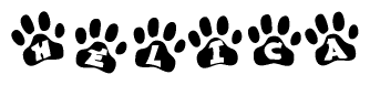 The image shows a series of animal paw prints arranged horizontally. Within each paw print, there's a letter; together they spell Helica