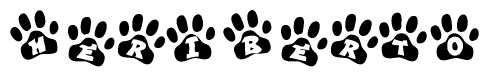 The image shows a series of animal paw prints arranged in a horizontal line. Each paw print contains a letter, and together they spell out the word Heriberto.