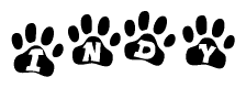 The image shows a series of animal paw prints arranged horizontally. Within each paw print, there's a letter; together they spell Indy