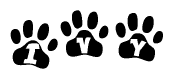 The image shows a series of animal paw prints arranged horizontally. Within each paw print, there's a letter; together they spell Ivy