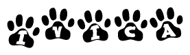 The image shows a row of animal paw prints, each containing a letter. The letters spell out the word Ivica within the paw prints.