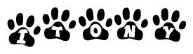 The image shows a series of animal paw prints arranged in a horizontal line. Each paw print contains a letter, and together they spell out the word Itony.