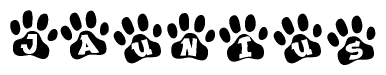 The image shows a row of animal paw prints, each containing a letter. The letters spell out the word Jaunius within the paw prints.
