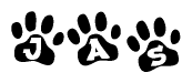 The image shows a series of animal paw prints arranged in a horizontal line. Each paw print contains a letter, and together they spell out the word Jas.
