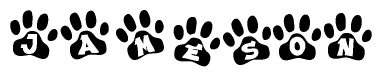 The image shows a series of animal paw prints arranged in a horizontal line. Each paw print contains a letter, and together they spell out the word Jameson.