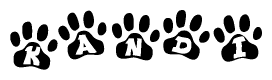 The image shows a series of animal paw prints arranged in a horizontal line. Each paw print contains a letter, and together they spell out the word Kandi.