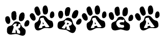 The image shows a series of animal paw prints arranged in a horizontal line. Each paw print contains a letter, and together they spell out the word Karaca.