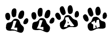 The image shows a series of animal paw prints arranged in a horizontal line. Each paw print contains a letter, and together they spell out the word Llah.
