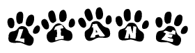 The image shows a series of animal paw prints arranged horizontally. Within each paw print, there's a letter; together they spell Liane