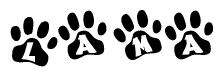 The image shows a row of animal paw prints, each containing a letter. The letters spell out the word Lama within the paw prints.