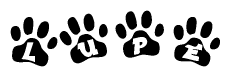 The image shows a series of animal paw prints arranged in a horizontal line. Each paw print contains a letter, and together they spell out the word Lupe.