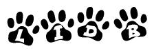 The image shows a row of animal paw prints, each containing a letter. The letters spell out the word Lidb within the paw prints.