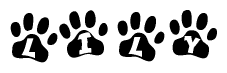 The image shows a row of animal paw prints, each containing a letter. The letters spell out the word Lily within the paw prints.