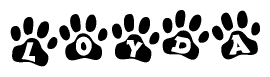 The image shows a series of animal paw prints arranged in a horizontal line. Each paw print contains a letter, and together they spell out the word Loyda.
