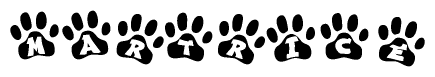 The image shows a series of animal paw prints arranged in a horizontal line. Each paw print contains a letter, and together they spell out the word Martrice.