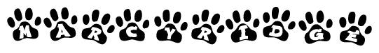 The image shows a series of animal paw prints arranged horizontally. Within each paw print, there's a letter; together they spell Marcyridge