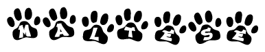 The image shows a series of animal paw prints arranged horizontally. Within each paw print, there's a letter; together they spell Maltese