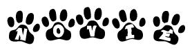 The image shows a series of animal paw prints arranged horizontally. Within each paw print, there's a letter; together they spell Novie